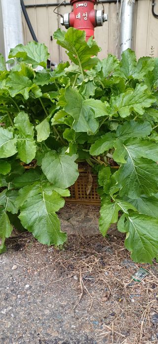 이강재님의 자유주제 · 자유게시판 작성글 사진