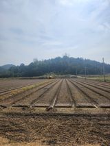 팜모닝 가을 농사 후 토양 어떻게 관리하세요?·참여글 게시글 이미지