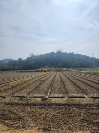 임민식님의 가을 농사 후 토양 어떻게 관리하세요? · 참여글 작성글 사진