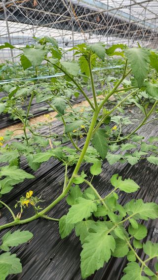 전성희님의 자유주제 · 자유게시판 작성글 사진