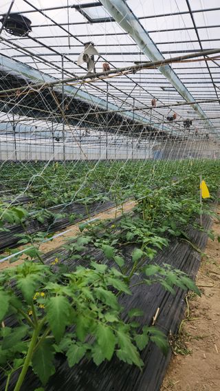 전성희님의 자유주제 · 자유게시판 작성글 사진