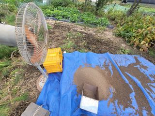 안성의 농사준비꾼님의 들깨 · 영농일지 작성글 사진