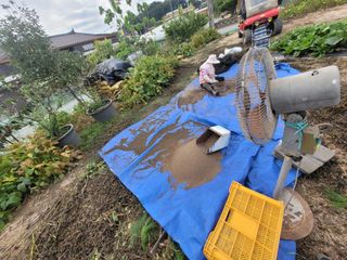 안성의 농사준비꾼님의 들깨 · 영농일지 작성글 사진