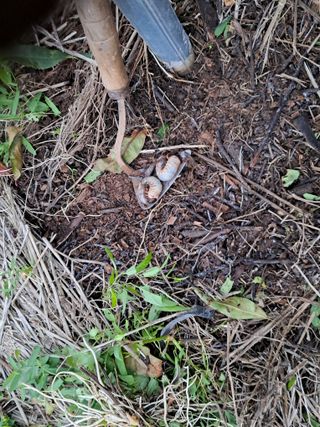 조명희님의 자유주제 · 자유게시판 작성글 사진