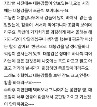 정석범님의 자유주제 · 자유게시판 작성글 사진
