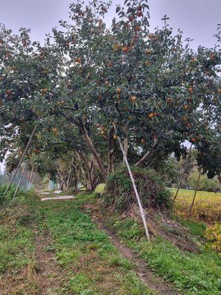 정석범님의 자유주제 · 자유게시판 작성글 사진