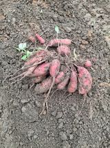 팜모닝 자유주제·사진전 게시글 이미지