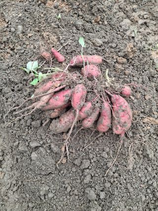 자두9376님의 자유주제 · 사진전 작성글 사진