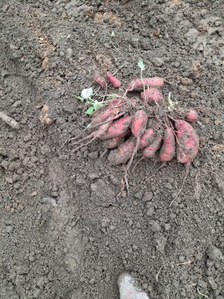 자두9376님의 자유주제 · 사진전 작성글 사진