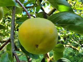 독고다이님의 작성글 사진