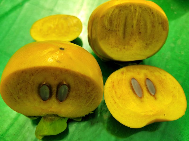 독고다이님의 장터 판매 상품 [ 아삭  아삭 햇 단감10kg (90과) 17.000.무료배송] 첨부 사진