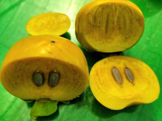 독고다이님의 작성글 사진