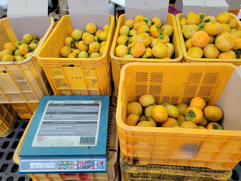 독고다이님의 장터 판매 상품 [ 아삭  아삭 햇 단감10kg (90과) 17.000.무료배송] 첨부 사진