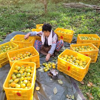 독고다이님의 작성글 사진