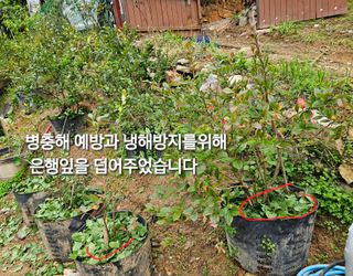 연모 자연의행복님의 자유주제 · 자유게시판 작성글 사진