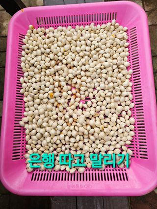 연모 자연의행복님의 자유주제 · 자유게시판 작성글 사진