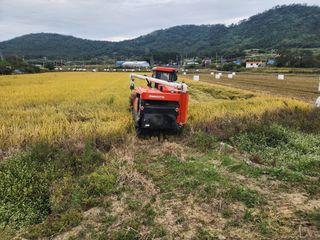별장의텃밭농부님의 벼 · 영농일지 작성글 사진