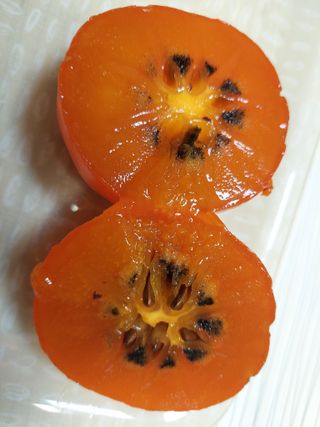 참깨7881님의 감 · 병해충상담 작성글 사진