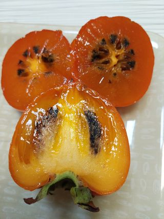 참깨7881님의 감 · 병해충상담 작성글 사진