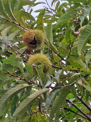 울금박사/빈덕열목사님의 자유주제 · 자유게시판 작성글 사진