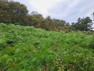 울금박사/빈덕열목사님의 자유주제 · 자유게시판 작성글 사진