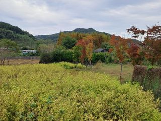 울금박사/빈덕열목사님의 자유주제 · 자유게시판 작성글 사진