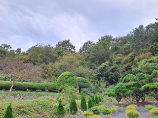 울금박사/빈덕열목사님의 자유주제 · 자유게시판 작성글 사진