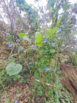 울금박사/빈덕열목사님의 자유주제 · 자유게시판 작성글 사진