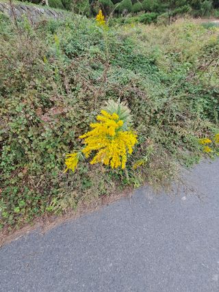 울금박사/빈덕열목사님의 자유주제 · 자유게시판 작성글 사진