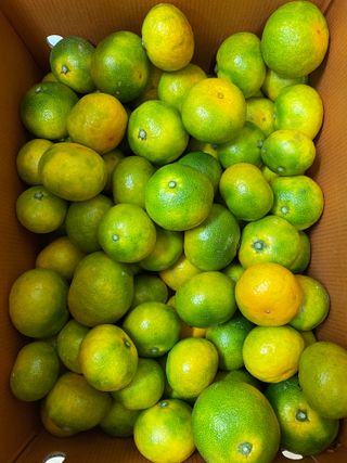 돌담님의 작성글 사진