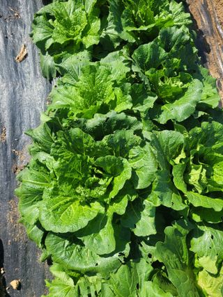 원탑님의 자유주제 · 자유게시판 작성글 사진