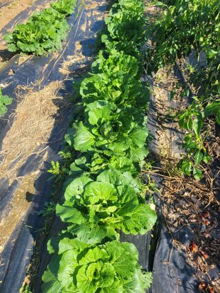 원탑님의 자유주제 · 자유게시판 작성글 사진