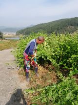 팜모닝 들깨·영농일지 게시글 이미지