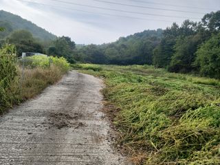 최계보님의 들깨 · 영농일지 작성글 사진