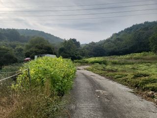 최계보님의 들깨 · 영농일지 작성글 사진