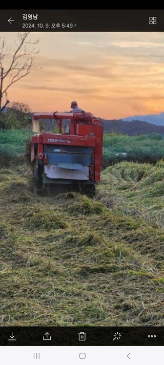 삼성리이충환님의 들깨 · 영농일지 작성글 사진