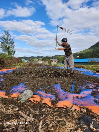 삼성리이충환님의 들깨 · 영농일지 작성글 사진