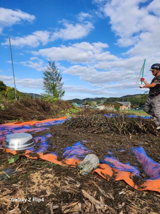 삼성리이충환님의 들깨 · 영농일지 작성글 사진