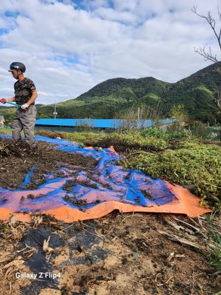 삼성리이충환님의 들깨 · 영농일지 작성글 사진