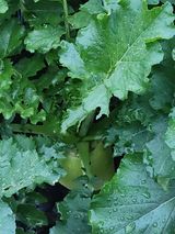 팜모닝 자유주제·자유게시판 게시글 이미지