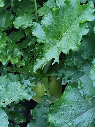 칠보산울프님의 자유주제 · 자유게시판 작성글 사진