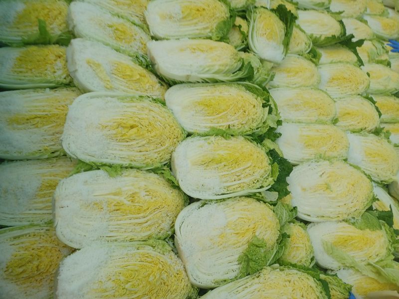 젊은농원 님의 장터 판매 상품 [절임배추 20kg] 첨부 사진