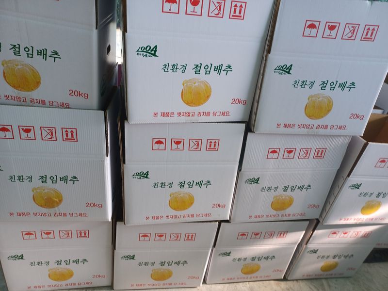 젊은농원 님의 장터 판매 상품 [절임배추 20kg] 첨부 사진