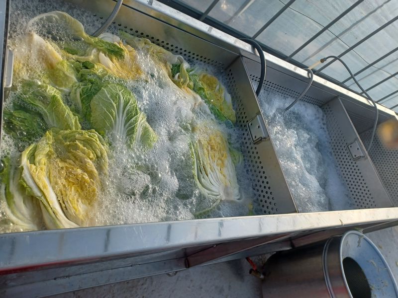 젊은농원 님의 장터 판매 상품 [절임배추 20kg] 첨부 사진