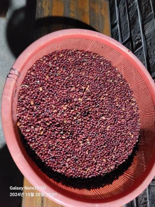 김성식님의 기타작물 · 영농일지 작성글 사진