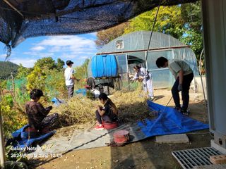 김성식님의 기타작물 · 영농일지 작성글 사진