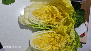 옥천서화농님의 자유주제 · 자유게시판 작성글 사진