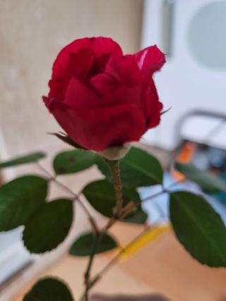 이상응님의 자유주제 · 자유게시판 작성글 사진