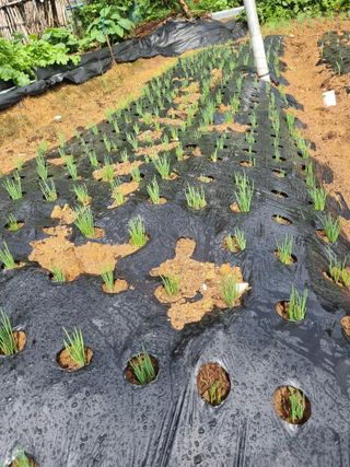 김선두님의 자유주제 · 자유게시판 작성글 사진