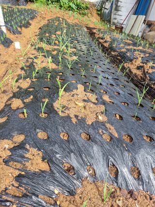 김선두님의 자유주제 · 자유게시판 작성글 사진